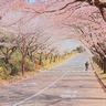 郡主三休夫